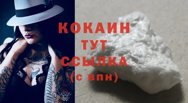 мдпв Гусь-Хрустальный