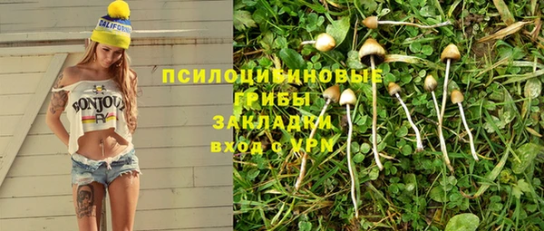 марки lsd Гусиноозёрск