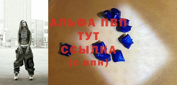прущие крисы Гусев
