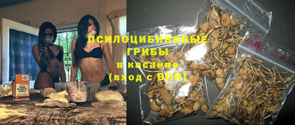 мдпв Гусь-Хрустальный