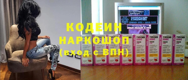 мдпв Гусь-Хрустальный