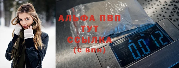 прущие крисы Гусев