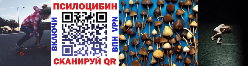 магазин продажи   Зеленогорск  нарко площадка формула  Галлюциногенные грибы GOLDEN TEACHER 