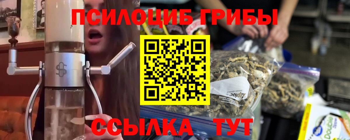 Галлюциногенные грибы прущие грибы Зеленогорск